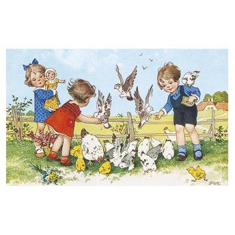 Postcard birds