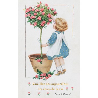 Postcard the roses of life